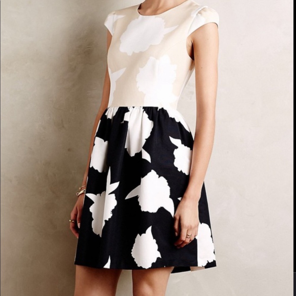 Anthropologie Troubadour Dress
